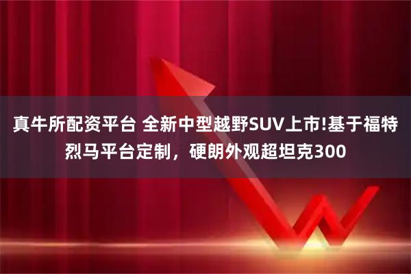 真牛所配资平台 全新中型越野SUV上市!基于福特烈马平台定制，硬朗外观超坦克300